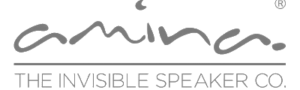 Logo Amina - The Invisible Speacker CO.